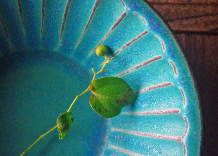 益子焼 シャビーターコイズ　朝顔鉢（小）おしゃれ 北欧風 しのぎ 鉢 ターコイズブルー 青緑 トルコブルー ブルー