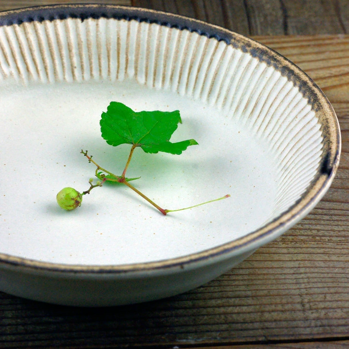 益子焼アンティークスリムライン パスタ皿 (リム付き鉢　リムボウル）