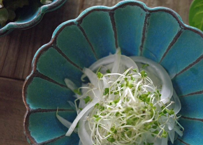 シャビーターコイズ リンカ小鉢 益子焼 北欧風