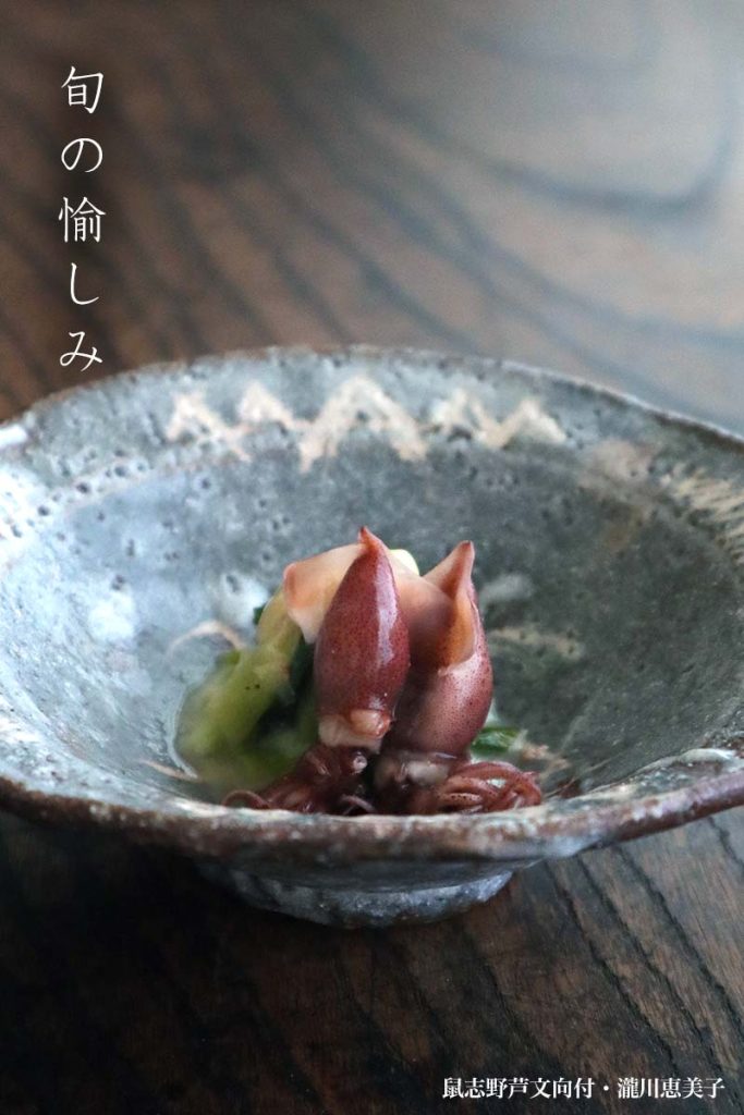 志野焼:鼠志野芦文向付・瀧川恵美子