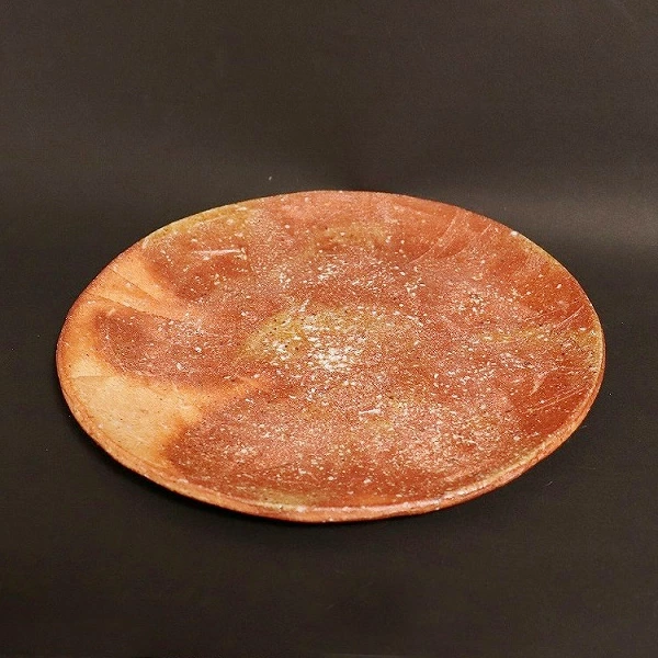 信楽焼 万能プレート皿