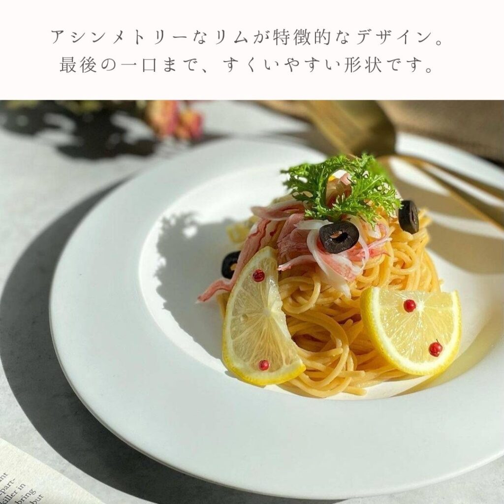 パスタ皿 お皿 食器 おしゃれ カレー皿 大皿 ウェブ皿 美濃焼