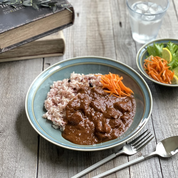 カレー皿 エッジリム22.2cmボウル パスタ皿 モダン 美濃焼 大皿