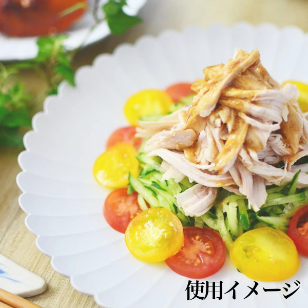 TY Palace(パレス) 160mm 2枚セット 化粧箱入り ( 1616 / arita japan TY Palace）