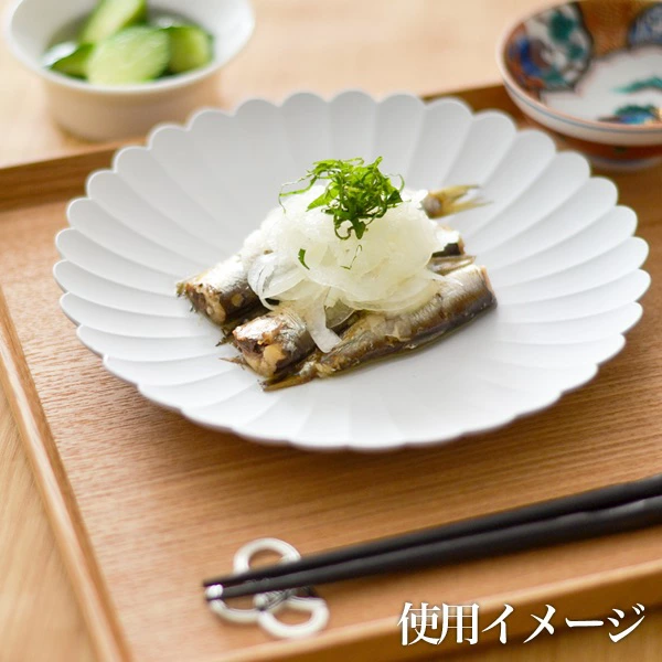 TY Palace(パレス) 160mm 2枚セット 化粧箱入り ( 1616 / arita japan TY Palace）