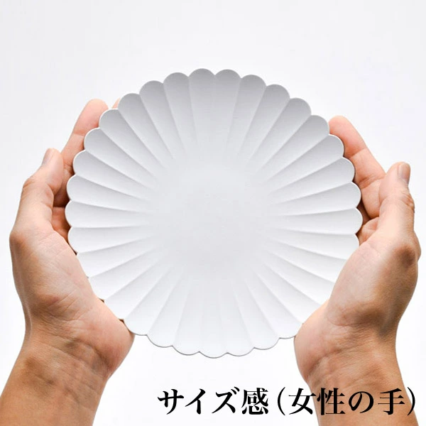 TY Palace(パレス) 160mm 2枚セット 化粧箱入り ( 1616 / arita japan TY Palace）