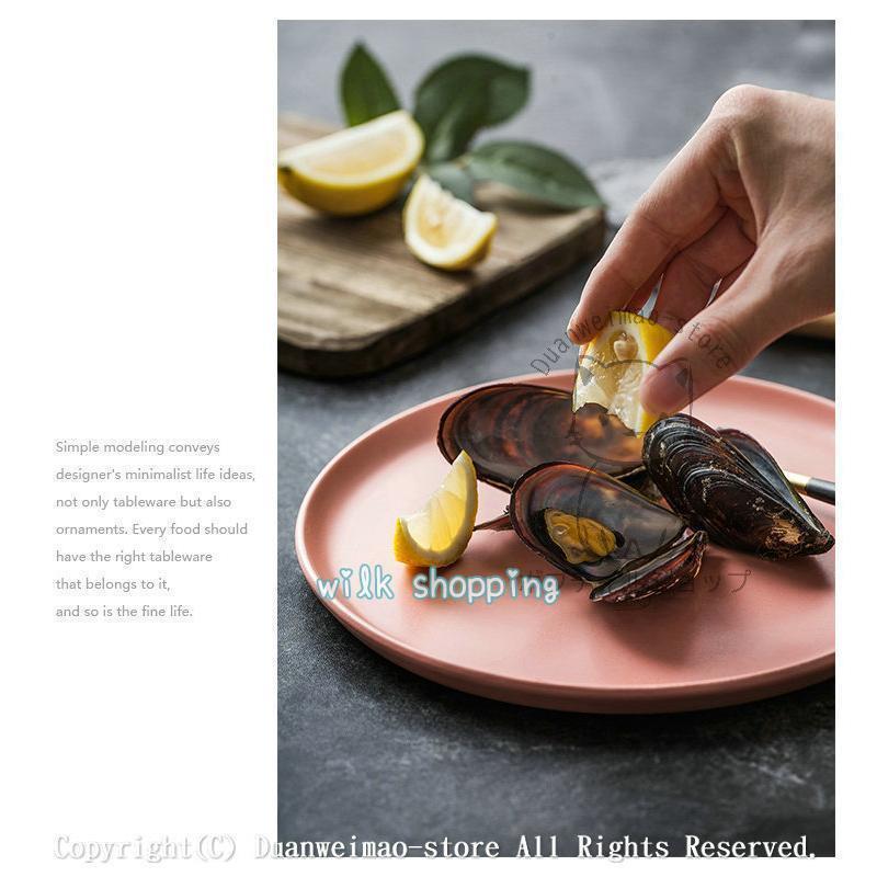 プレート 22cm 27.cm 丸 食器 フラット 平 大皿 シンプル 洋食器 陶磁器 業務用 パスタ皿 サークルプレート レストラン食器 高級 おしゃれ 全色
