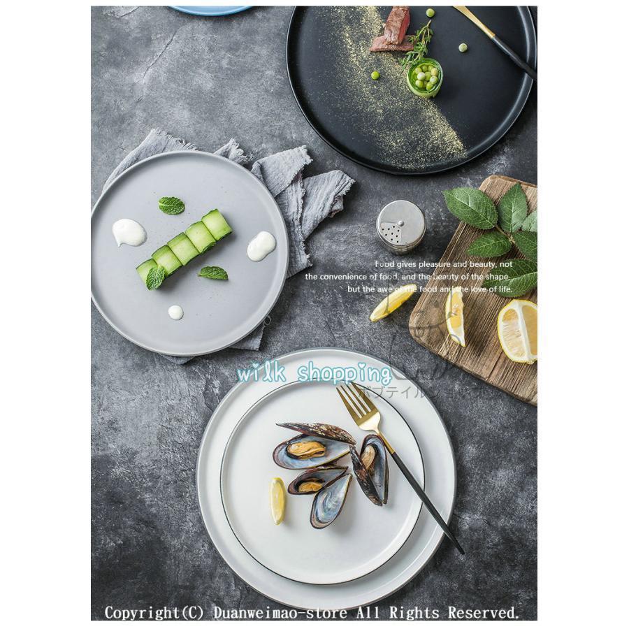 プレート 22cm 27.cm 丸 食器 フラット 平 大皿 シンプル 洋食器 陶磁器 業務用 パスタ皿 サークルプレート レストラン食器 高級 おしゃれ 全色
