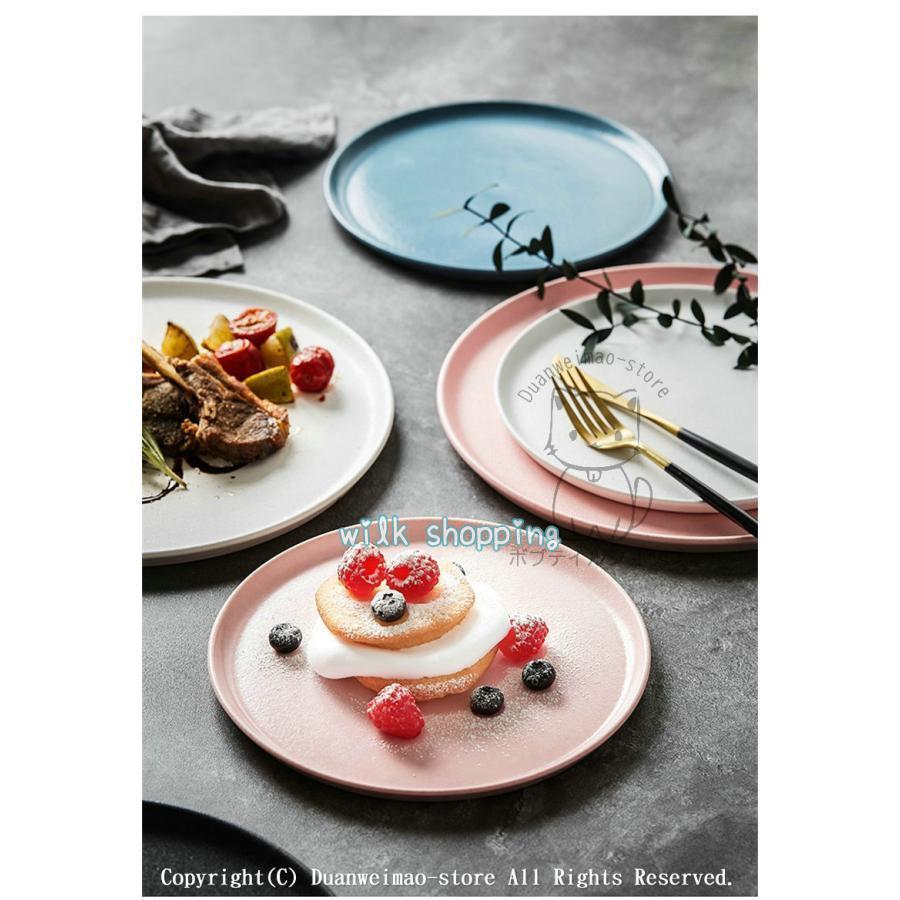 プレート 22cm 27.cm 丸 食器 フラット 平 大皿 シンプル 洋食器 陶磁器 業務用 パスタ皿 サークルプレート レストラン食器 高級 おしゃれ 全色
