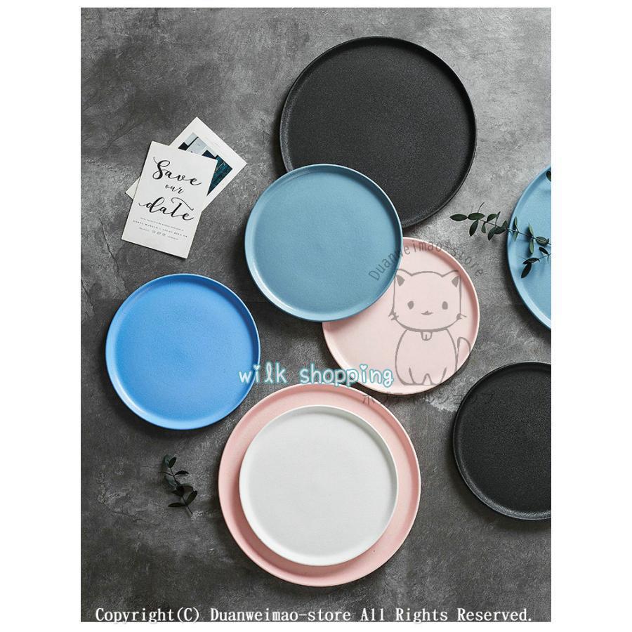 プレート 22cm 27.cm 丸 食器 フラット 平 大皿 シンプル 洋食器 陶磁器 業務用 パスタ皿 サークルプレート レストラン食器 高級 おしゃれ 全色

