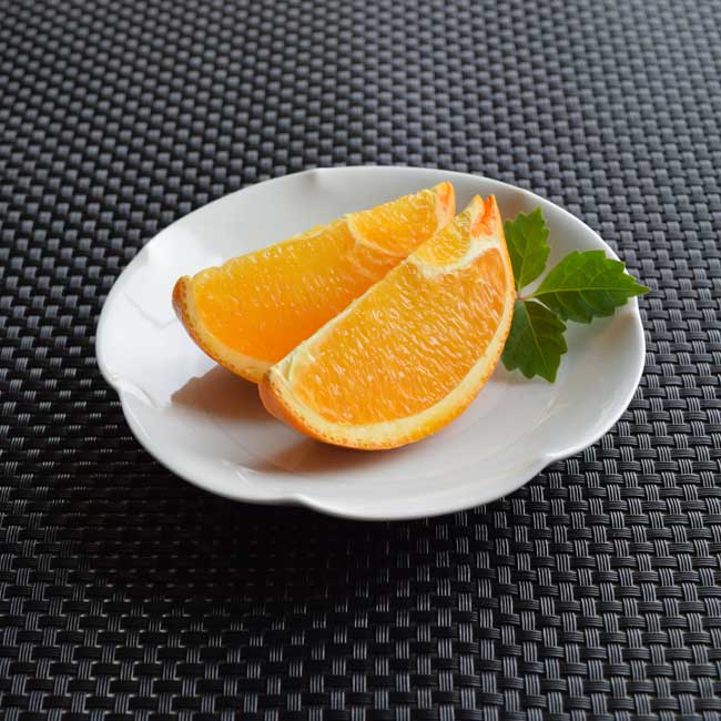 小皿 豆皿 取り皿 12cm 【5点セット】「 たち吉 うず潮 小皿 」 美濃焼