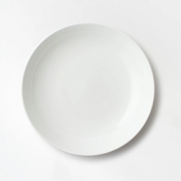 NIKKO(ニッコー) DISK(ディスク) 25cmボール 〈11400-1225〉 
