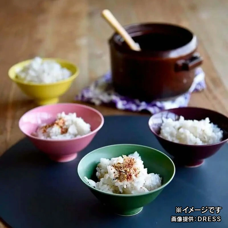 茶碗 DRESS 波佐見焼 直径12cm