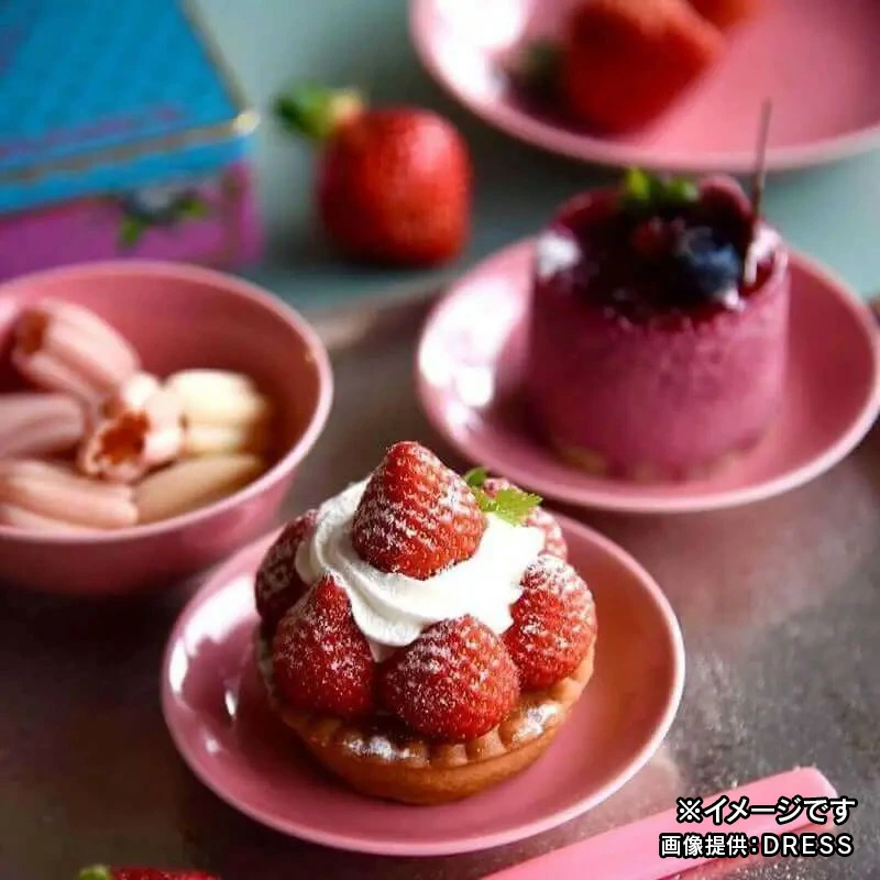 小皿 DRESS 波佐見焼 直径10.5cm 
