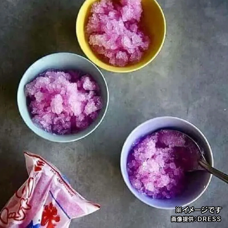 小付 DRESS 波佐見焼 直径9.7cm 祝