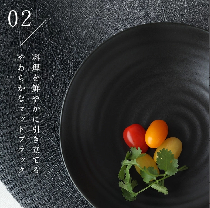  パスタ・カレー皿 5枚セット 黒マット EASTオリジナル 美濃焼
