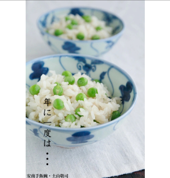 安南手飯碗・大・土山敬司《飯碗・ご飯茶碗・12.0cm》