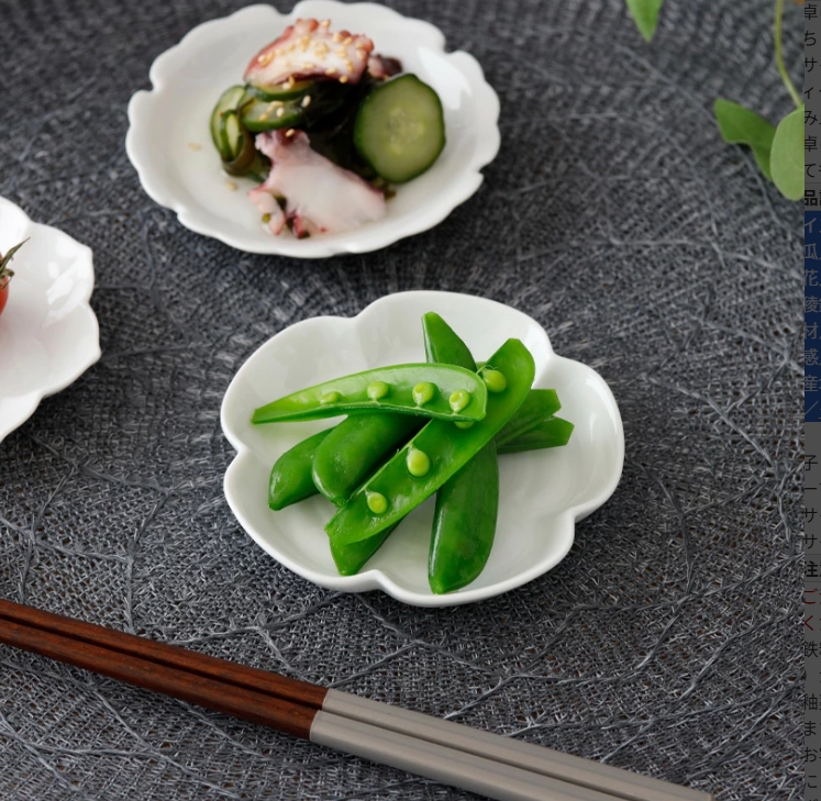 小皿 10cm 白磁線刻 gaku
