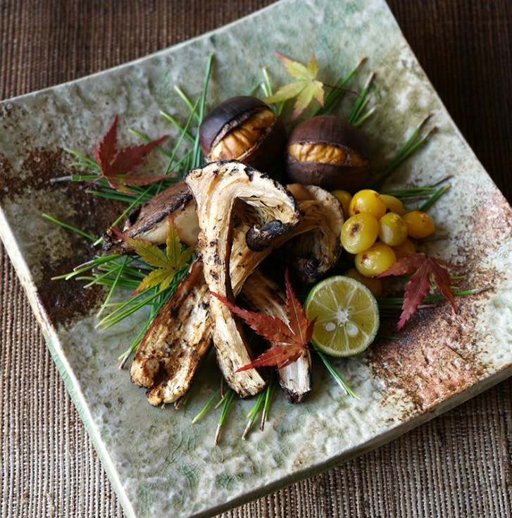 和食器 中皿 大皿 22cm【単品】「 たち吉 松禄 角皿 」