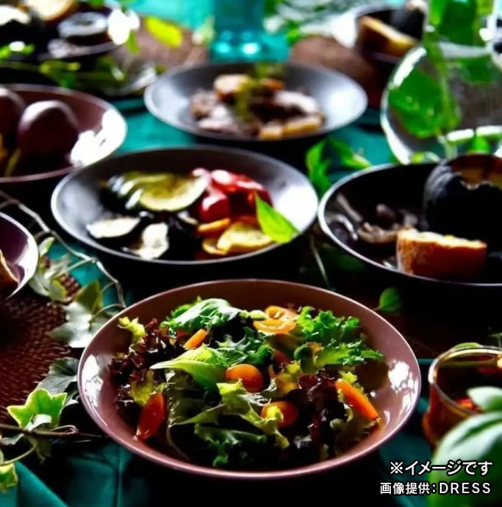 大皿 DRESS 波佐見焼 直径21.5cm おしゃれ かわいい 北欧