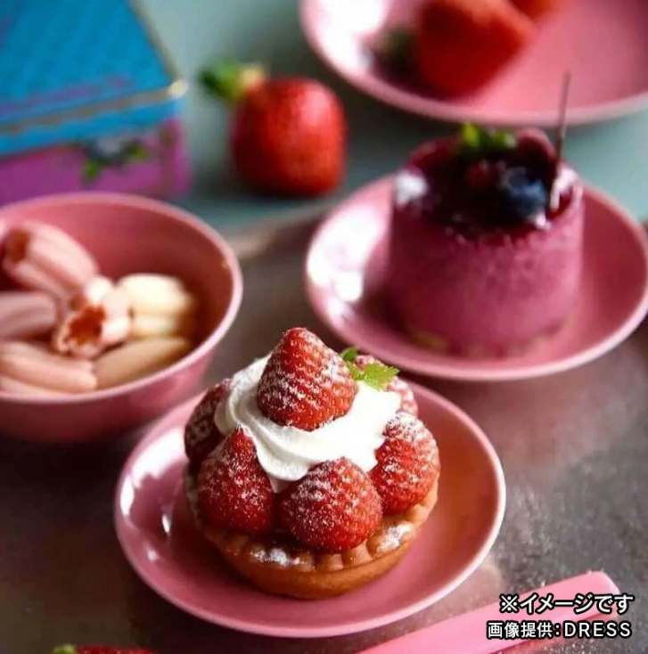 小皿 DRESS 波佐見焼 直径10.5cm 