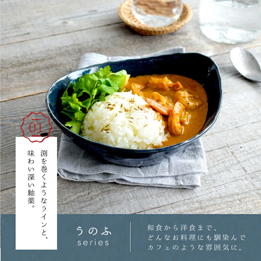 カレー皿 変形多用鉢（窯変ネイビー） パスタ皿 美濃焼