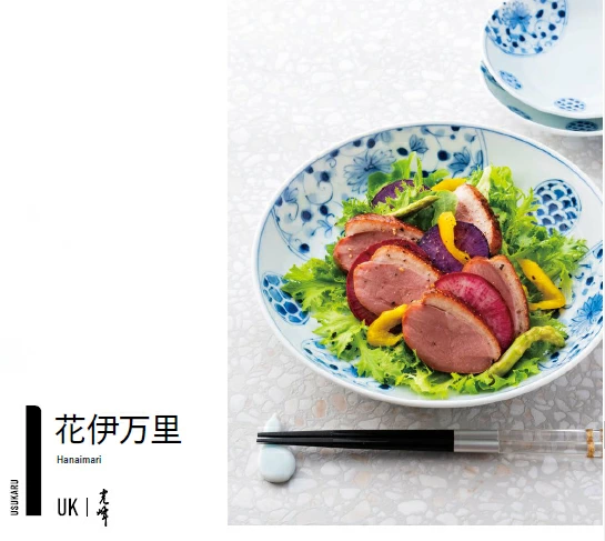 花伊万里/和柄模様の20cm中皿/おかず皿