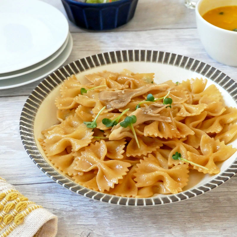 パスタ・カレー皿 リム十草 MARLEマルレ プレート