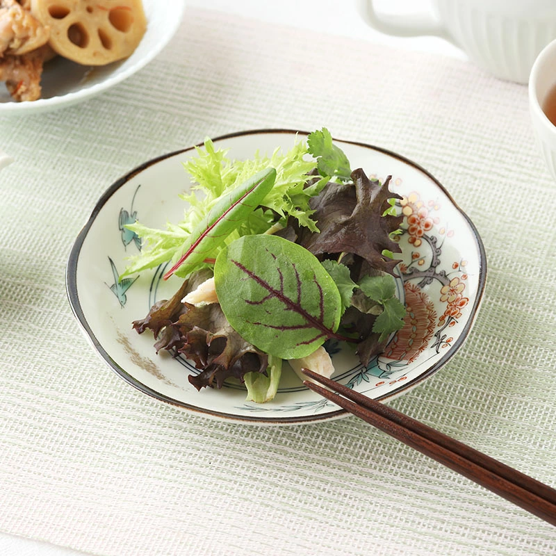 中皿 16cm 染錦古伊万里　和柄 伝統模様