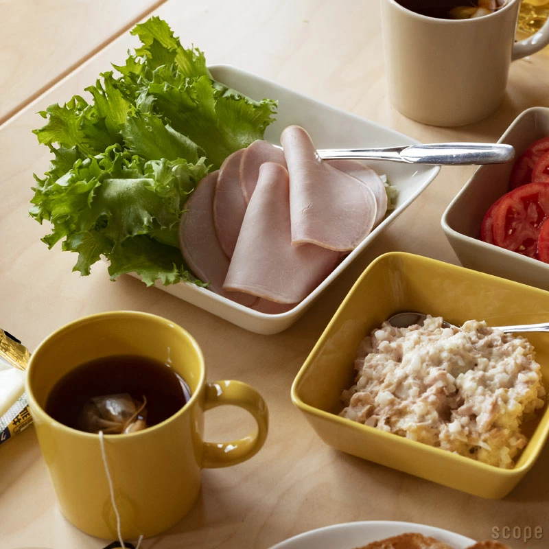 イッタラ / ティーマ スクエアプレート 16×16cm [ iittala / Teema ]