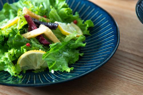 インディゴ十草 23cm皿 日本製 美濃焼 和食器 丸皿 丸プレート