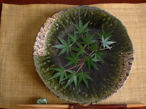 皿 ■ 棚橋淳作 織部 鉄絵 七寸 丸皿