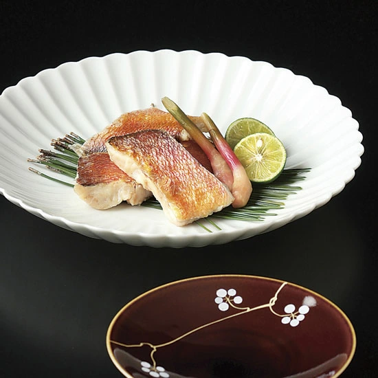 和食器 パスタ皿 大皿 26cm「 たち吉 白菊 大皿 」