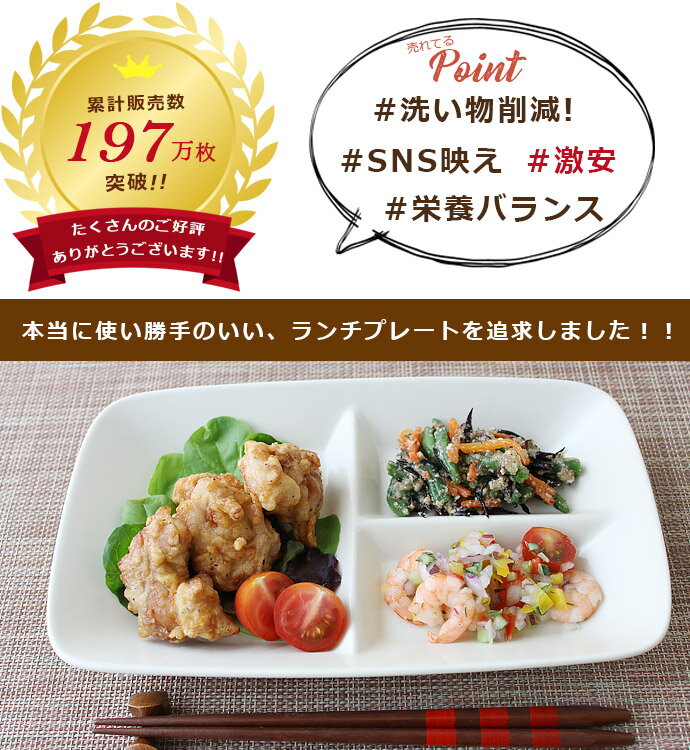 仕切り皿 ワンプレート 白 | 2つ仕切り 美濃焼